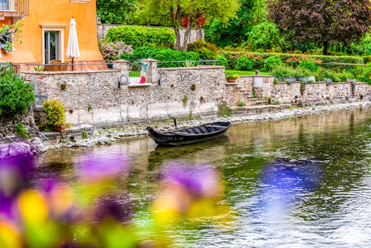 urban garden with colorful flowers