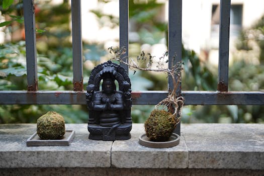 Small urban garden with potted plants